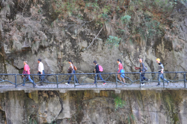 2011��������