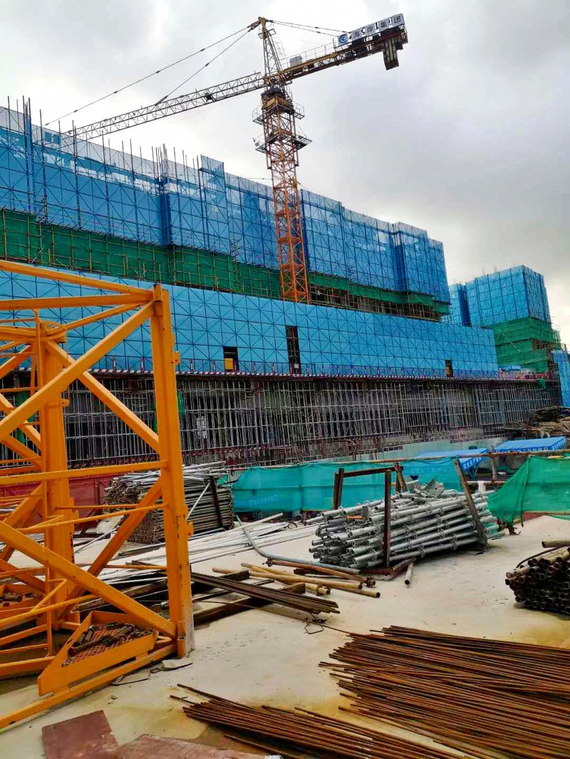 ����ɳ����ả���ǣ�2020�ڽ���